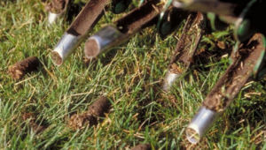 Hollow Tine Lawn Aeration