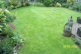 Emerald Lawn Care - Cheshire Lawn Treatments