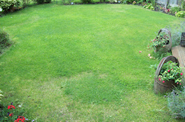 Emerald Lawn Care - Cheshire Lawn Treatments
