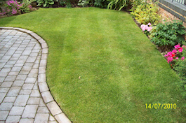 Emerald Lawn Care - Cheshire Lawn Treatments