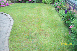 Emerald Lawn Care - Cheshire Lawn Treatments