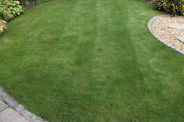 Emerald Lawn Care - Cheshire Lawn Treatments