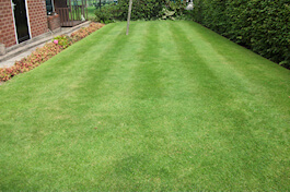 Emerald Lawn Care - Cheshire Lawn Treatments