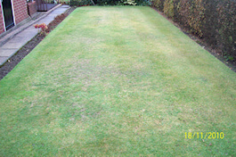 Emerald Lawn Care - Cheshire Lawn Treatments