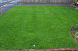 Emerald Lawn Care - Cheshire Lawn Treatments