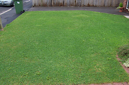 Emerald Lawn Care - Cheshire Lawn Treatments