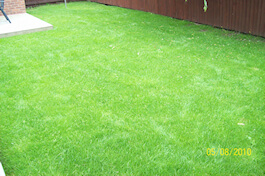 Emerald Lawn Care - Cheshire Lawn Treatments