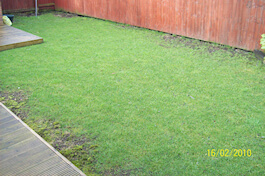 Emerald Lawn Care - Cheshire Lawn Treatments