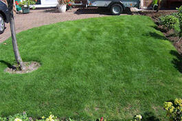 Emerald Lawn Care - Cheshire Lawn Treatments