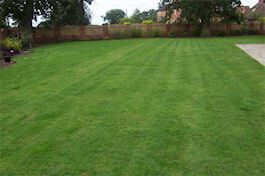 Emerald Lawn Care - Cheshire Lawn Treatments