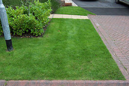 Emerald Lawn Care - Cheshire Lawn Treatments