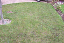 Emerald Lawn Care - Cheshire Lawn Treatments