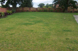 Emerald Lawn Care - Cheshire Lawn Treatments