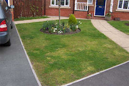 Emerald Lawn Care - Cheshire Lawn Treatments