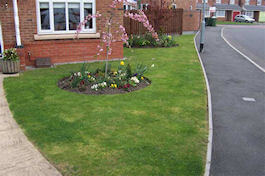 Emerald Lawn Care - Cheshire Lawn Treatments