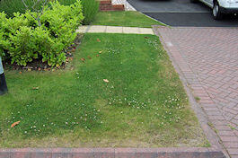 Emerald Lawn Care - Cheshire Lawn Treatments