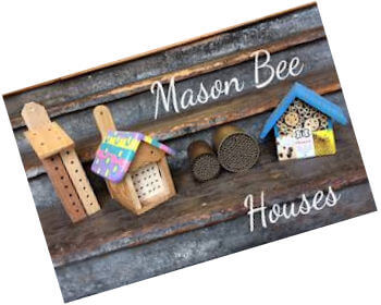 bee house