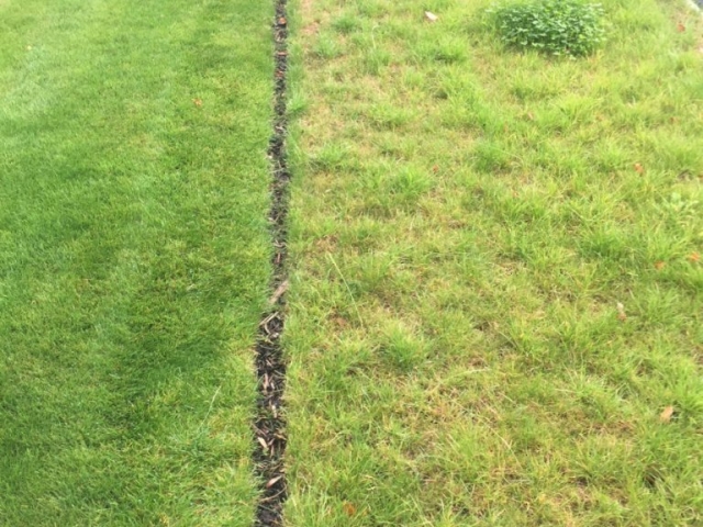 The lawn on the left has been treated by Emerald Lawn Care while the lawn on the right hasn't been treated