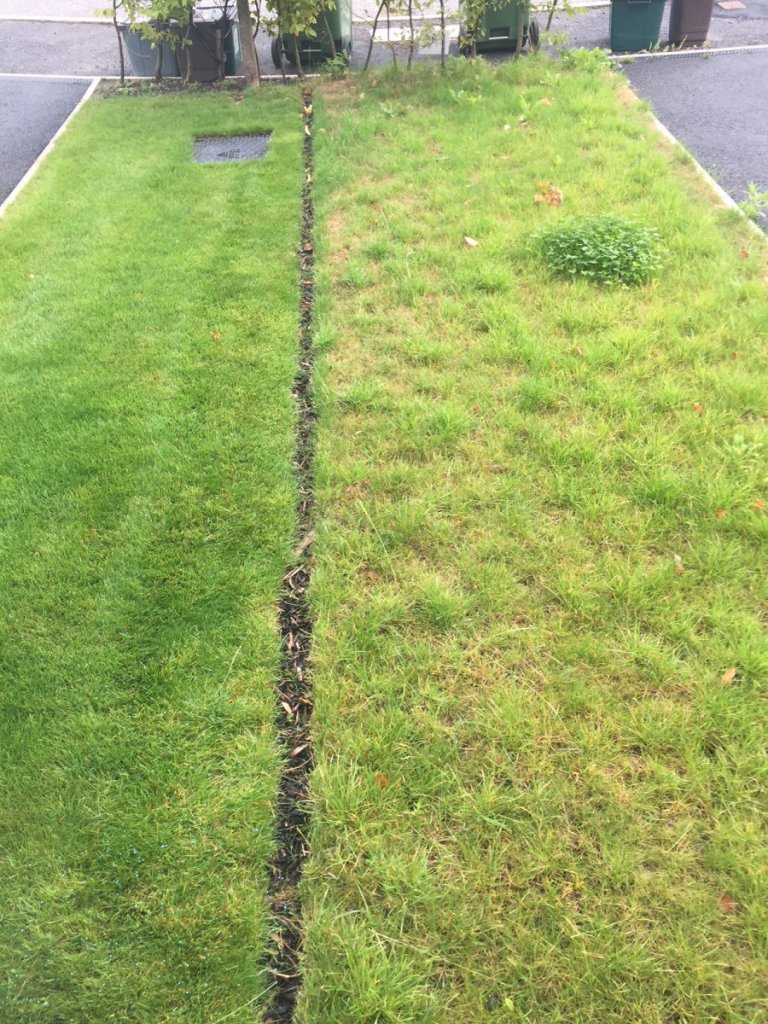The lawn on the left has been treated by Emerald Lawn Care whilsr the lawn on the right hasn't been treated