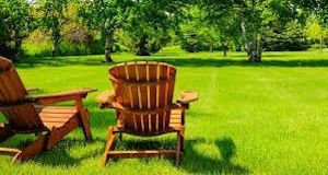 Summer lawn