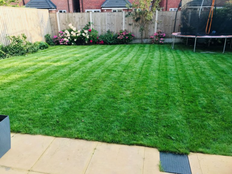 Another Satisfied Customer! Emerald Lawn Care Lawn